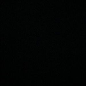 Meet your Posher, Riley